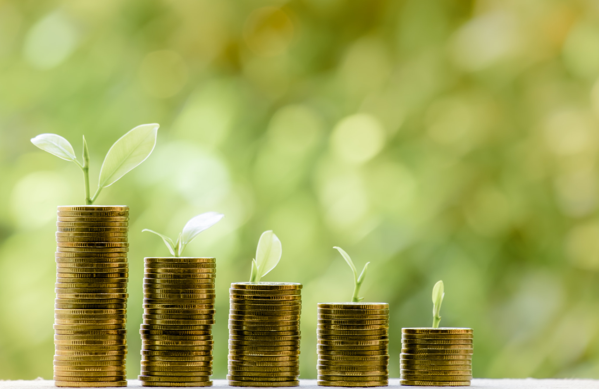 Business Finance and Money concept,Save money for prepare in the future.tree growing on coin of stac