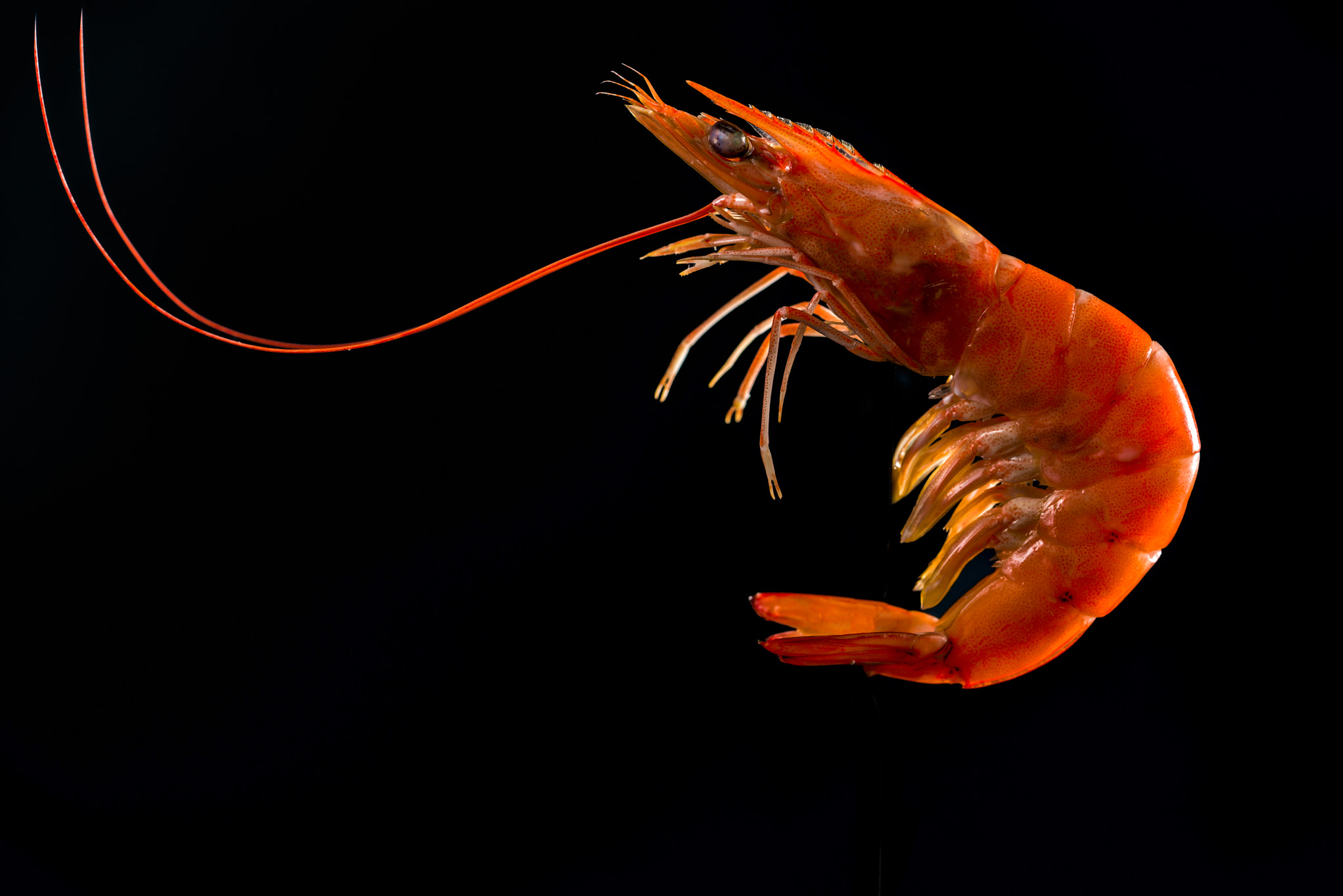 v2?sig=98a919e2ff7cd3247011ca0772794575d2e63ff05edf9000f2236e5fa673bab1