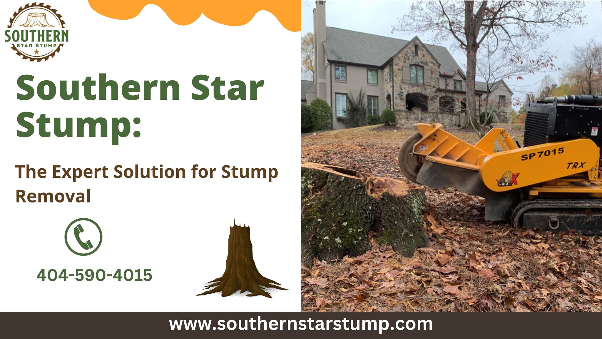 Southern Star Stump: The Expert Solution for Stump Removal