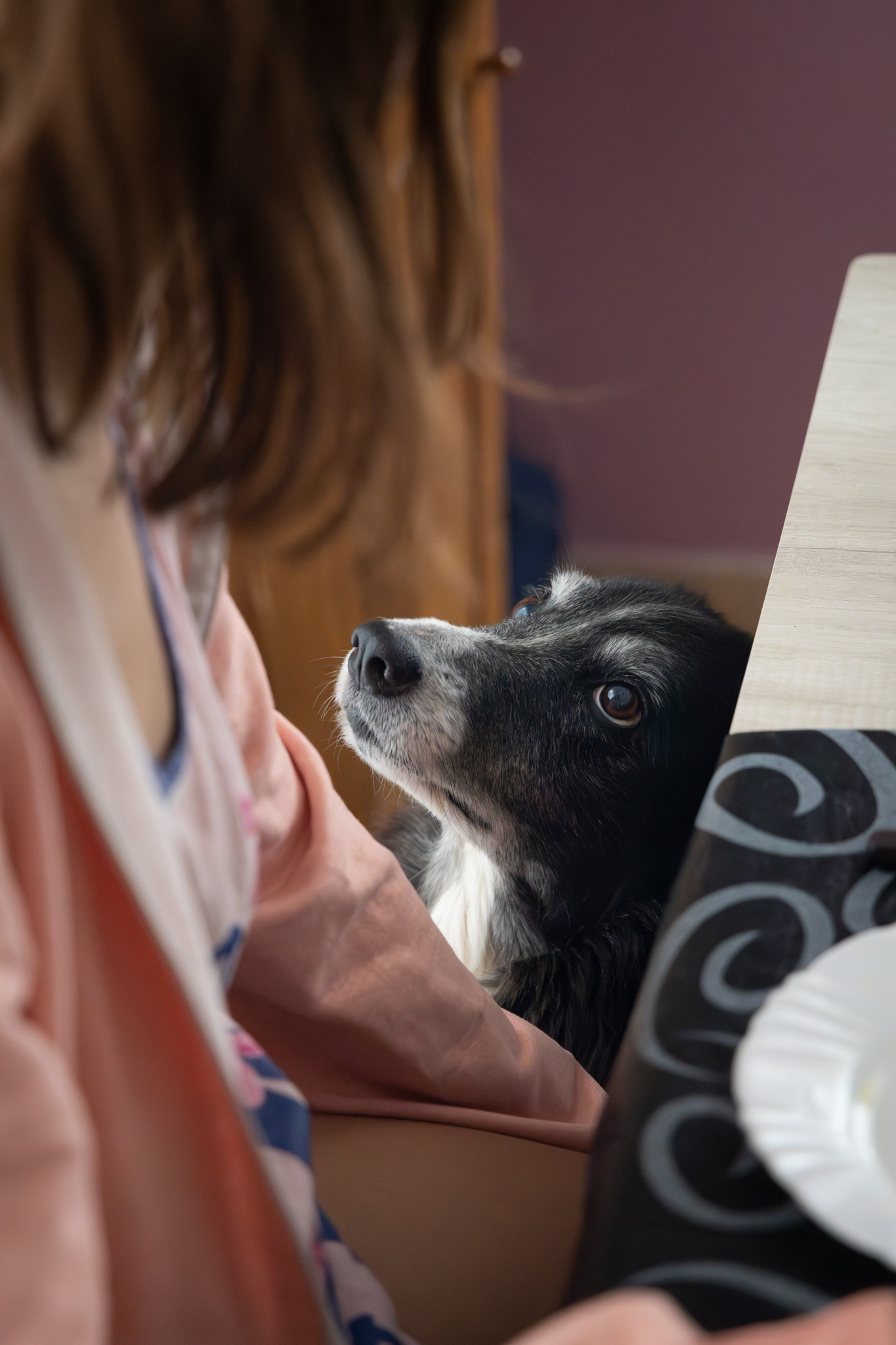 Buscando un complice 155A5818