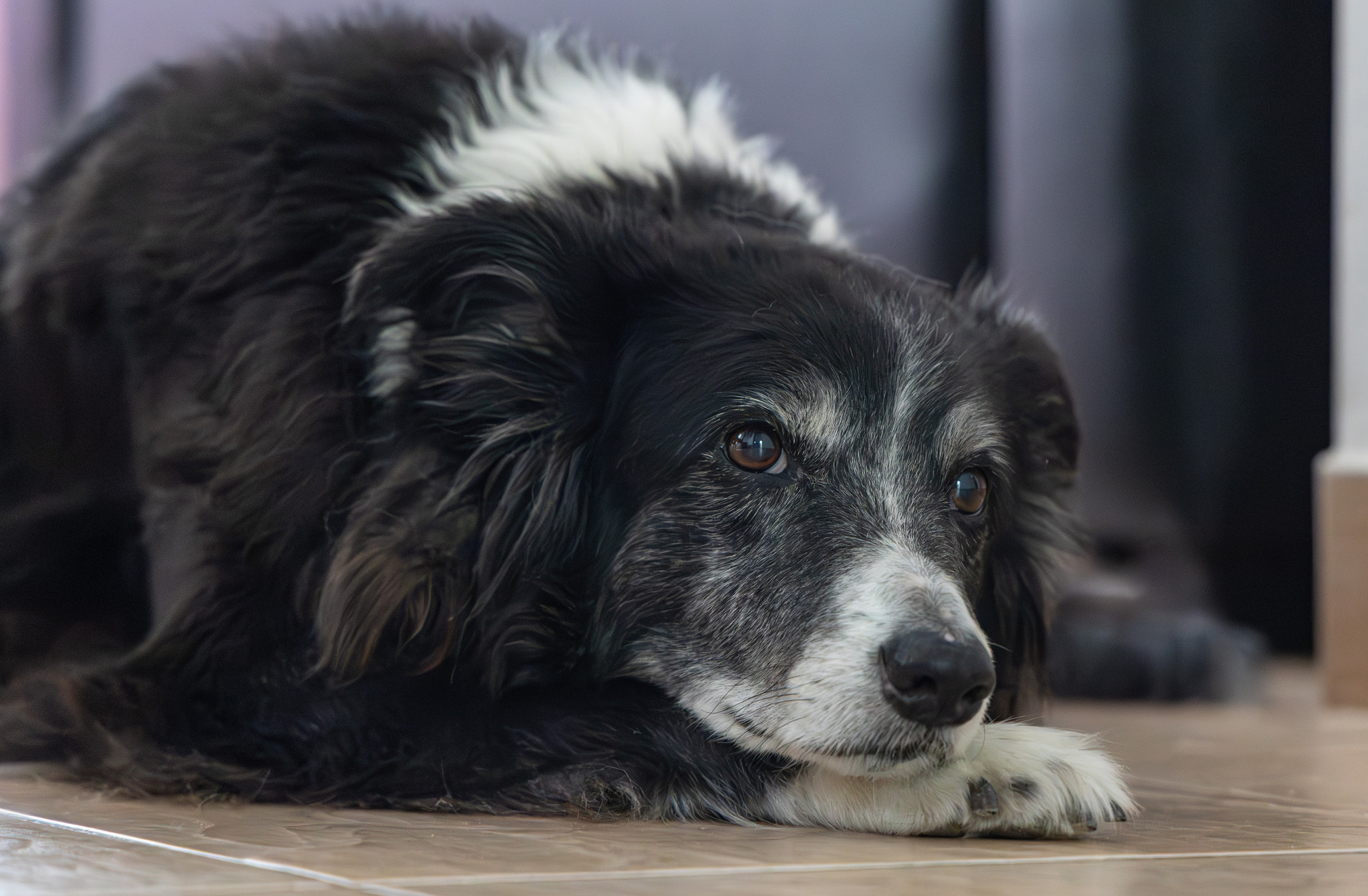 155A5820-Mejorado-NR