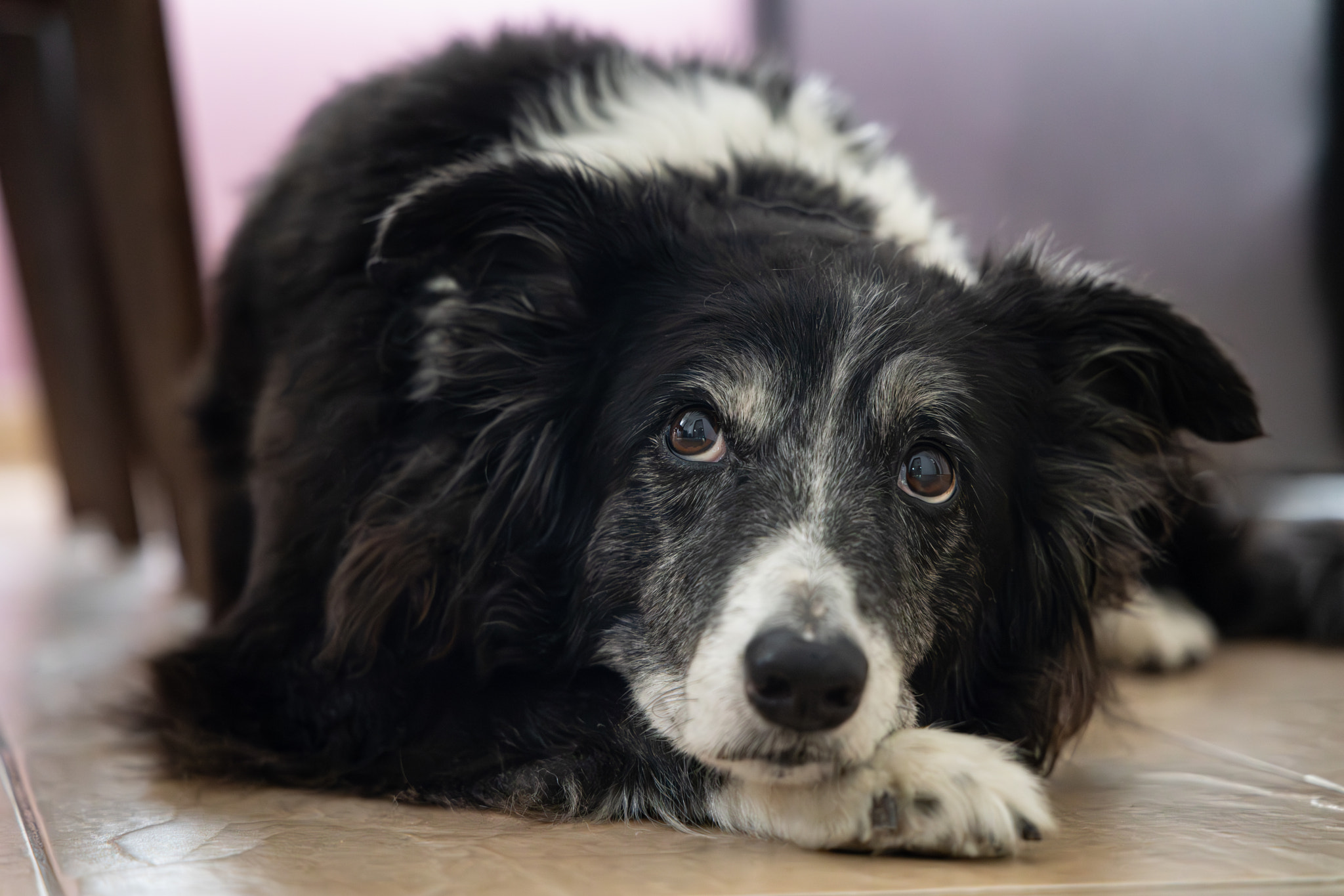 155A5821-Mejorado-NR