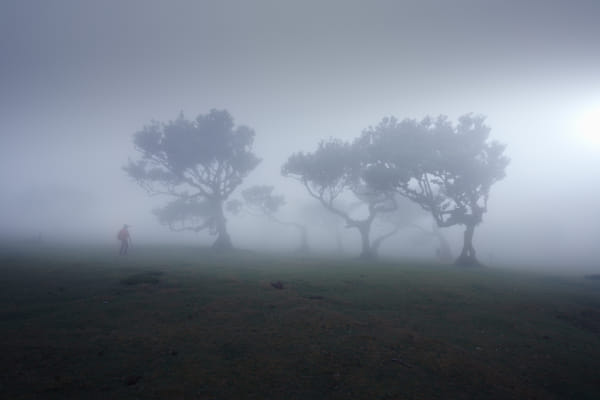 Lost in the mist.. by Roberto De Simone on 500px.com