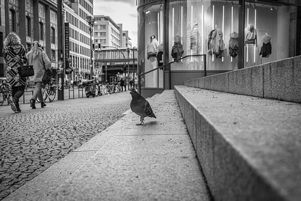 Manfred Kerschke (Manfredmanni1) Profile / 500px