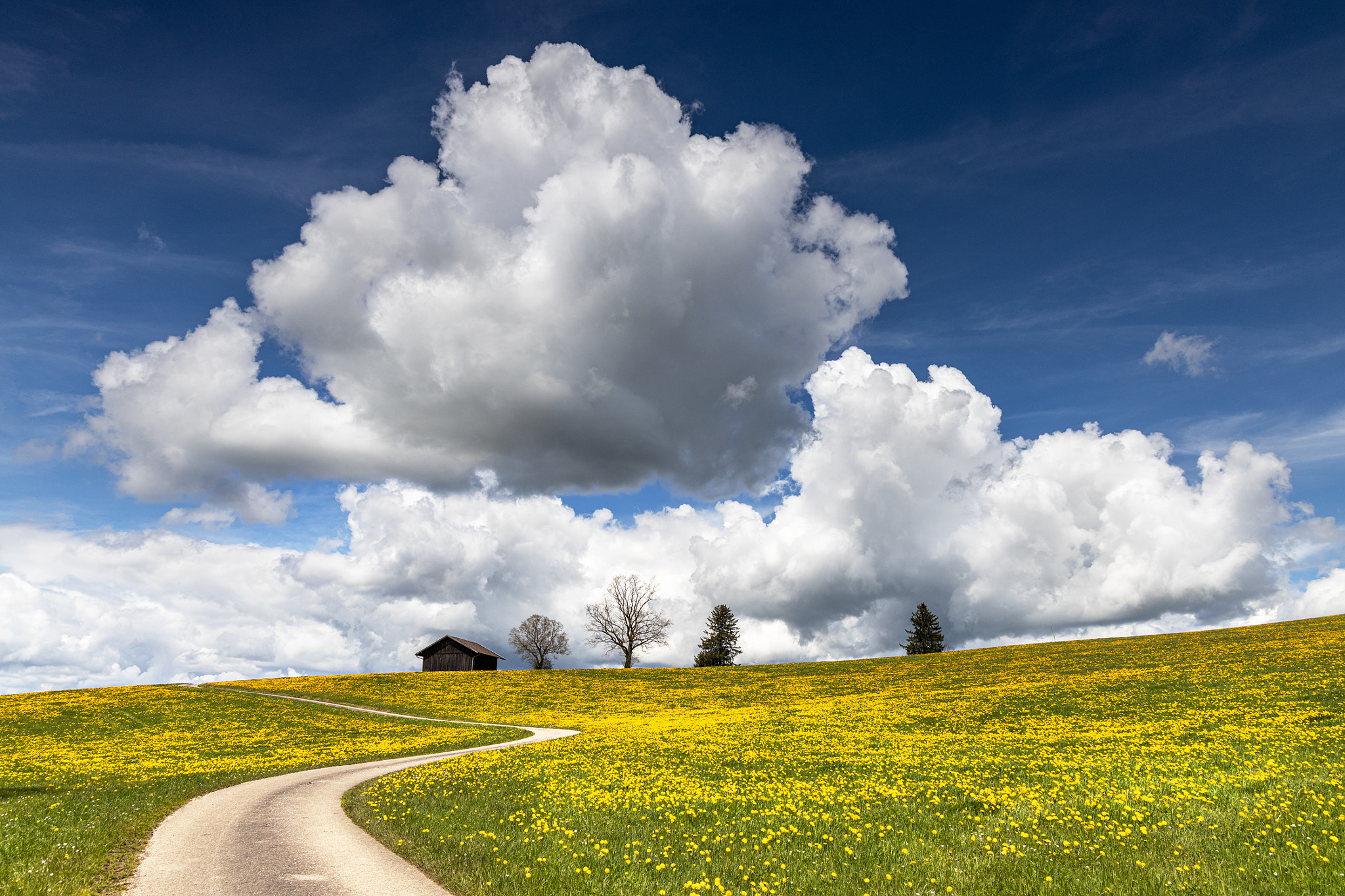 one day in spring by Birdies Landscape / 500px