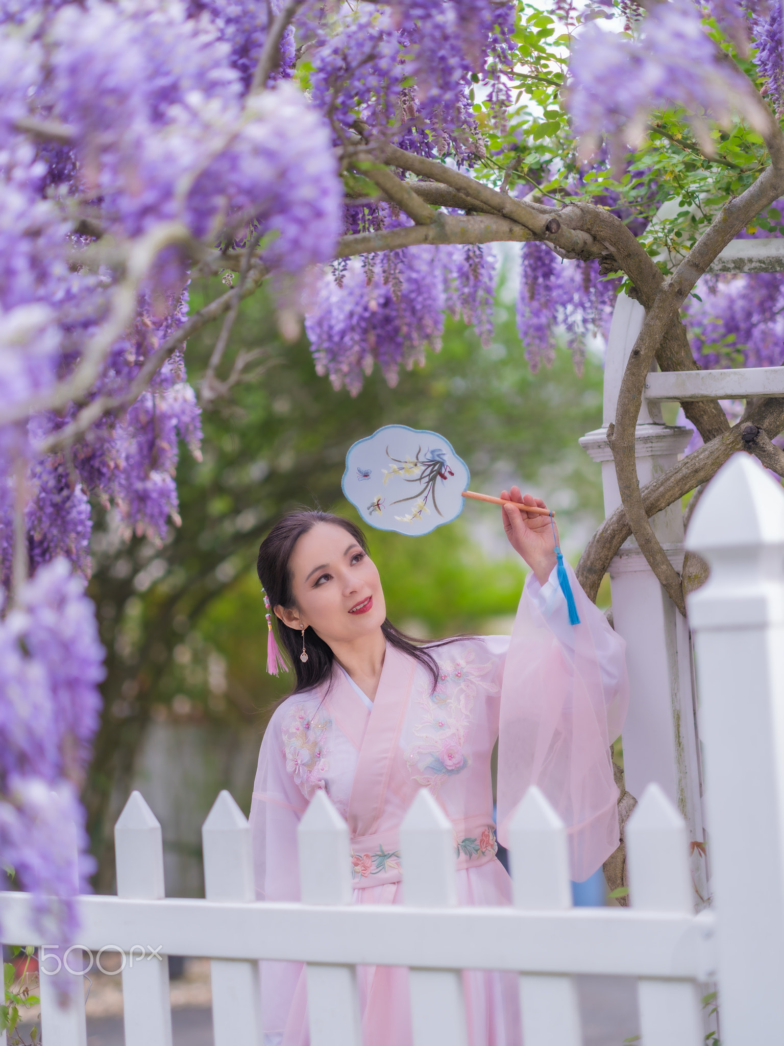 Wisteria in Purple