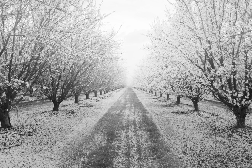 It's a Journey.... not a Destination !!! by Jay Sabapathy on 500px.com