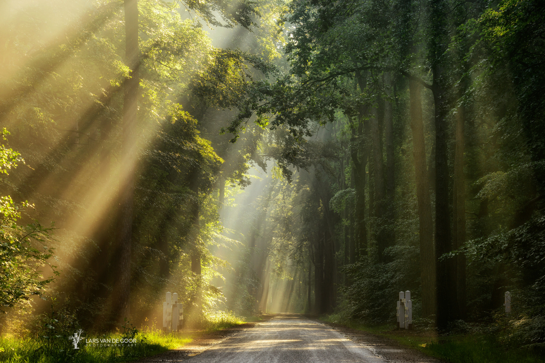 Morning Splendor By Lars Van De Goor Photo 106839215 500px