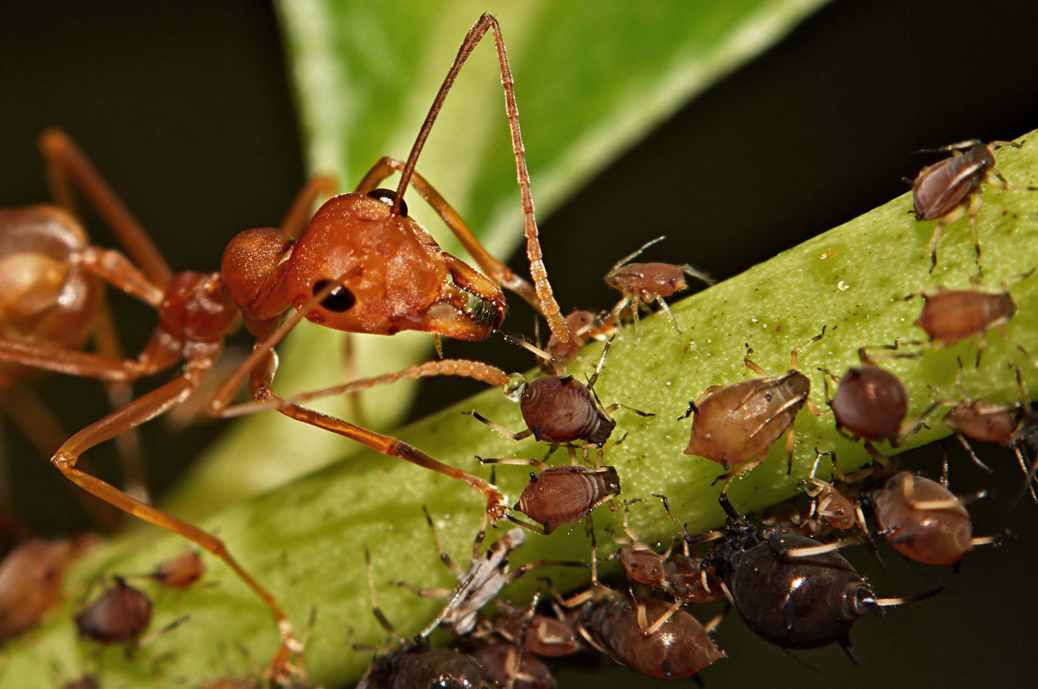 v2?sig=f4a288a8179674015e9154756b80fd53e51bf3f4f0819693a9cf3ca0995a738d