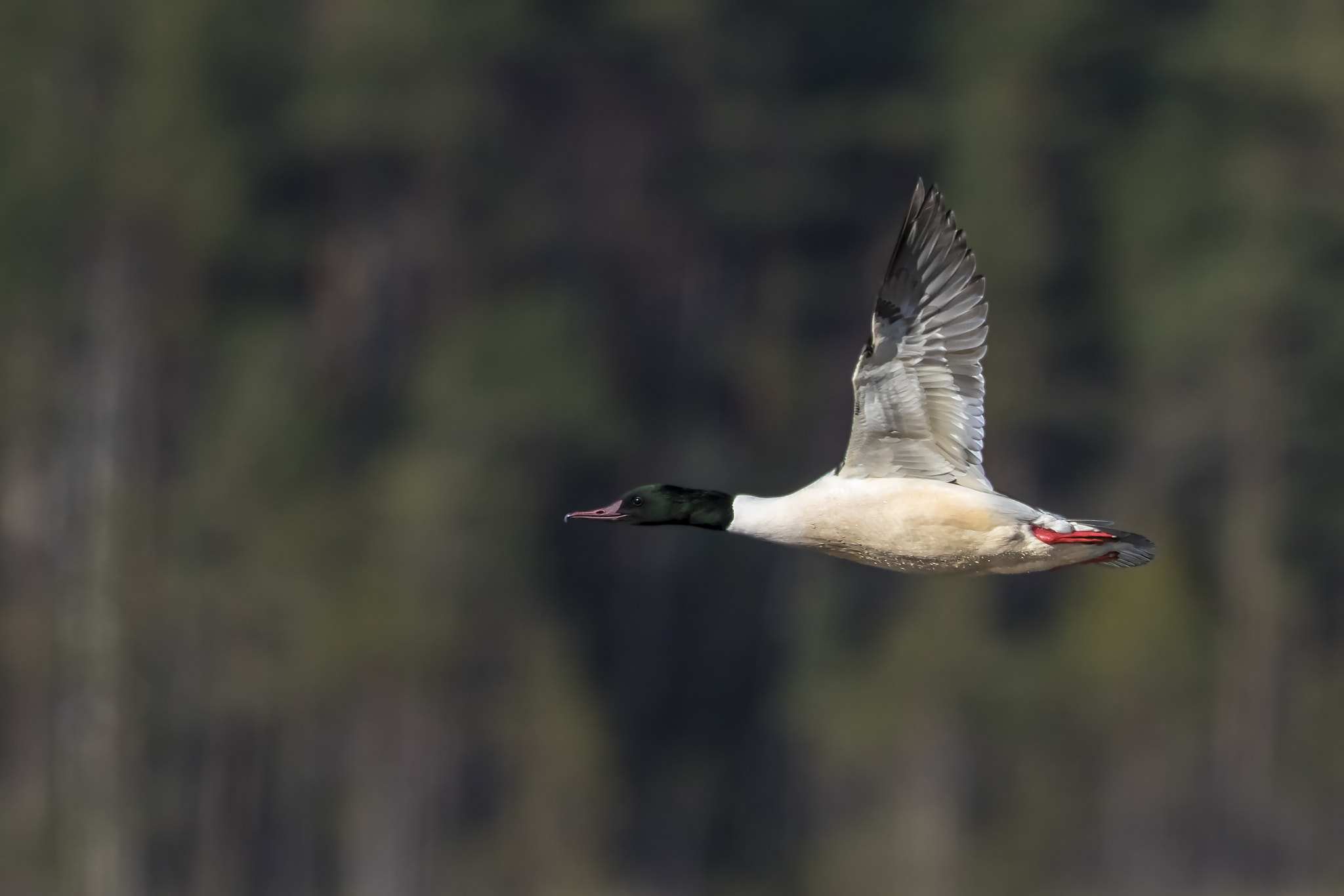 v2?sig=dfc2ccd06db481ed714ca6250a0100809dd3e7cbb3c102e76ce7a5153c43aad6