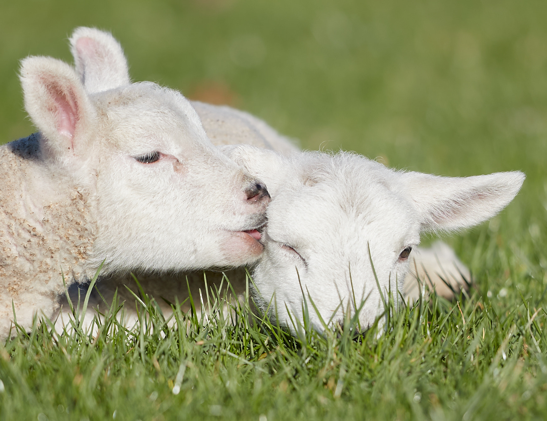 I will let you in a secret