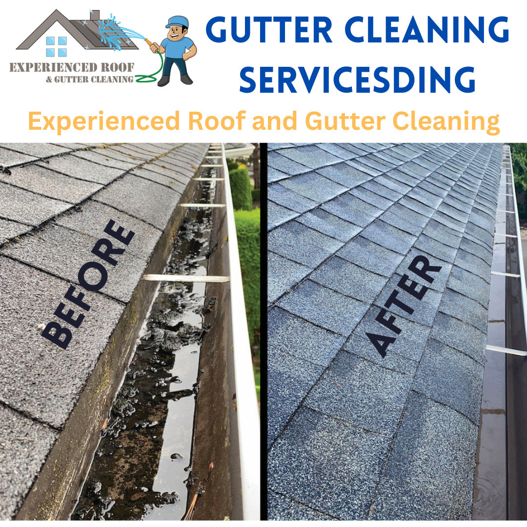 Affordable Gutter Cleaning Services in Kent, US