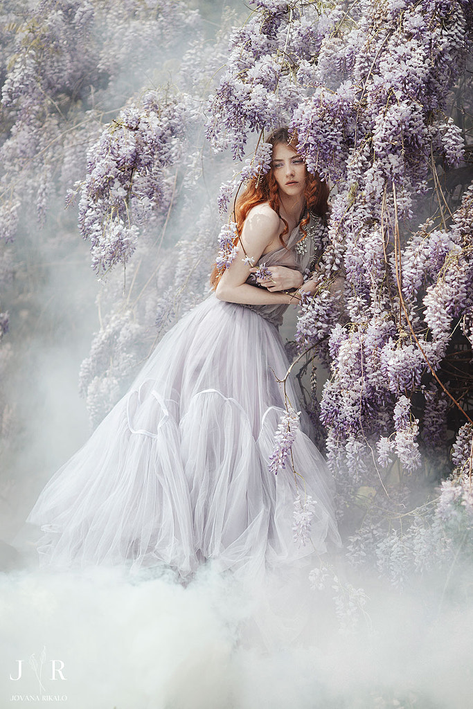 Wisteria Bloom by Jovana Rikalo on 500px.com