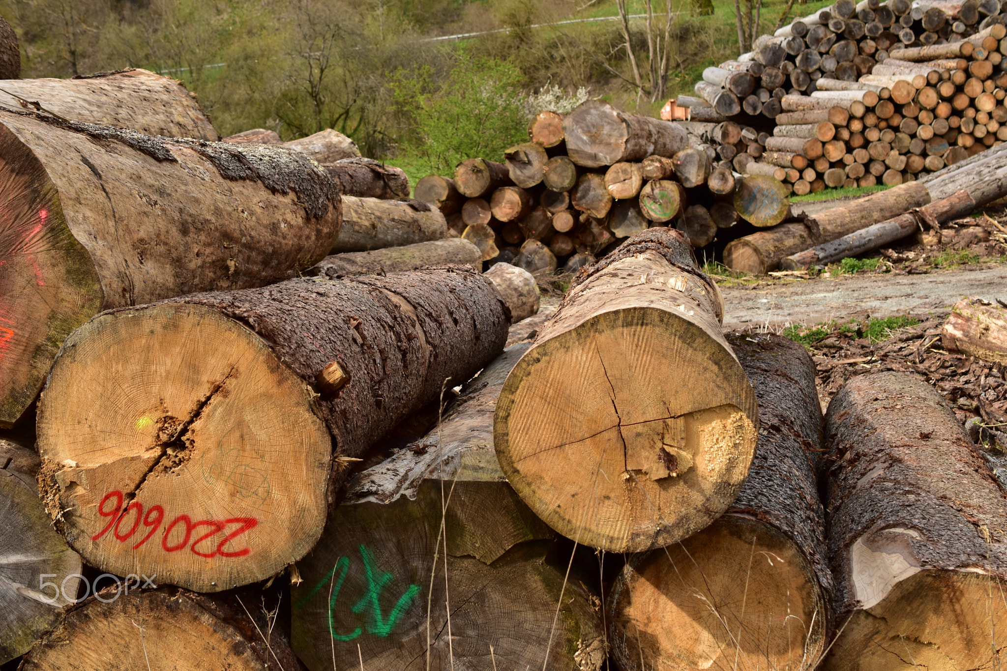 Pile of logs in a rural place