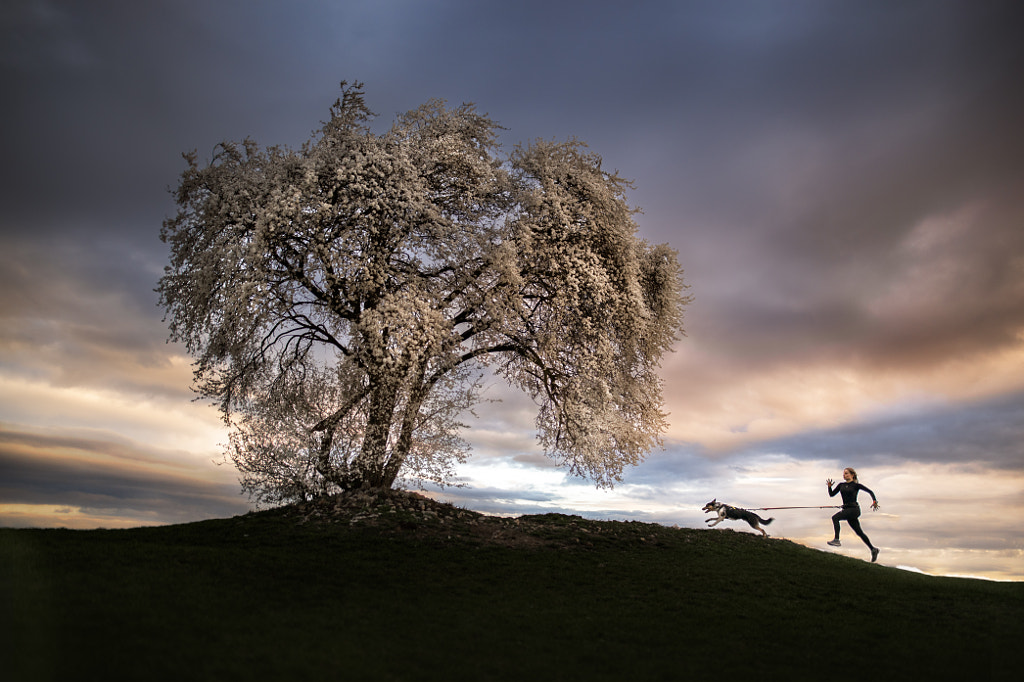 Jeune femme courant avec un chien dans de beaux paysages de printemps par Iza ?yso ?  sur 500px.com