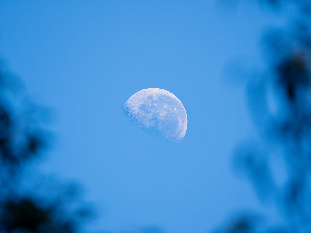 Moonset by Paul Amyes on 500px.com