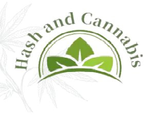 Hashandcannabis (2)