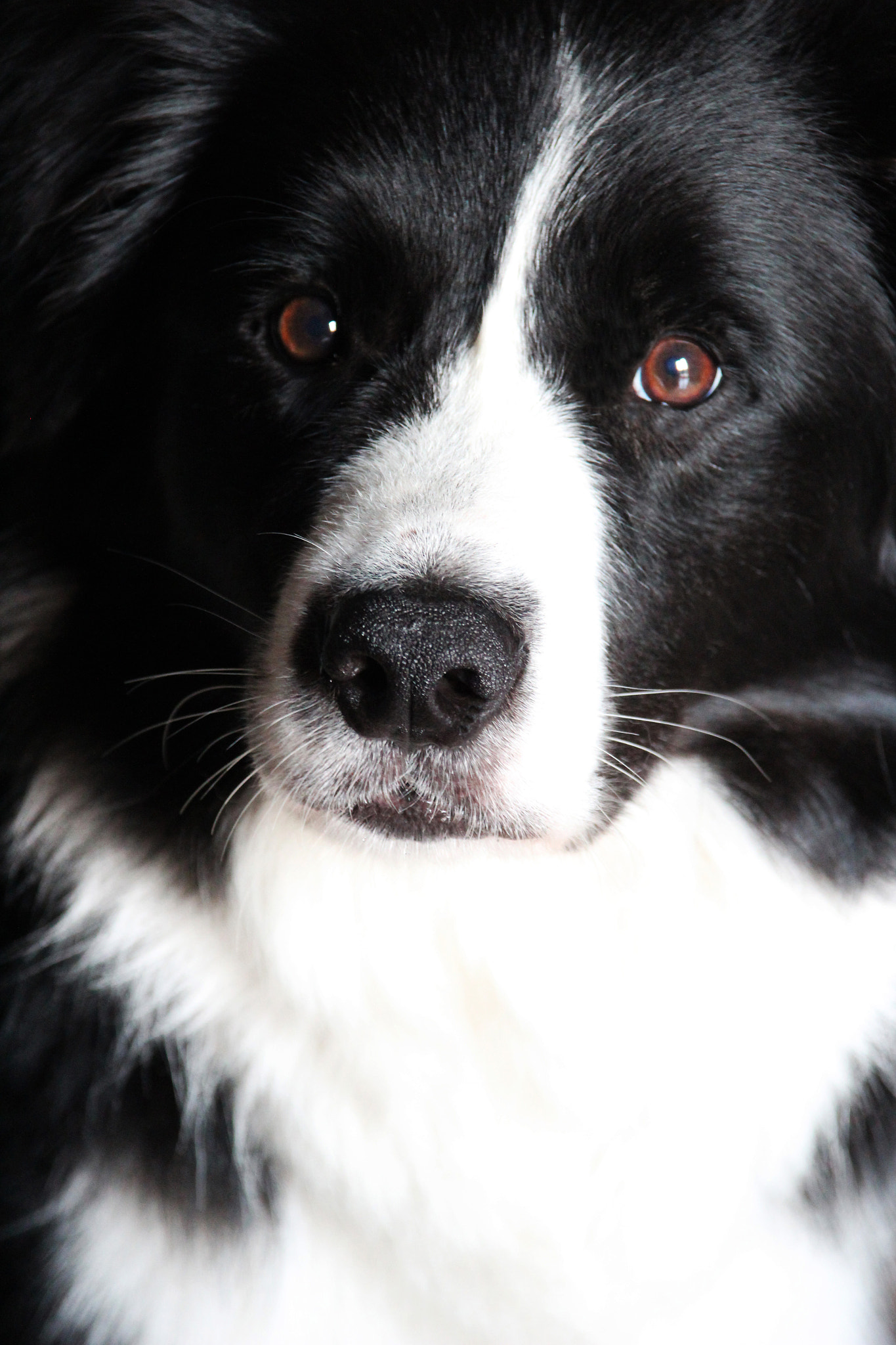 v2?sig=eaead577f5f1749c048592bab4ce9258e