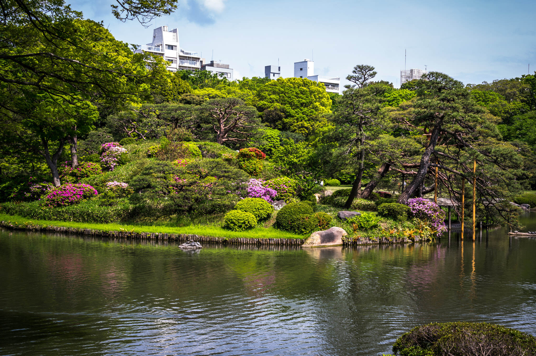 Rikugien Park, Tokyo (六義園、東京）