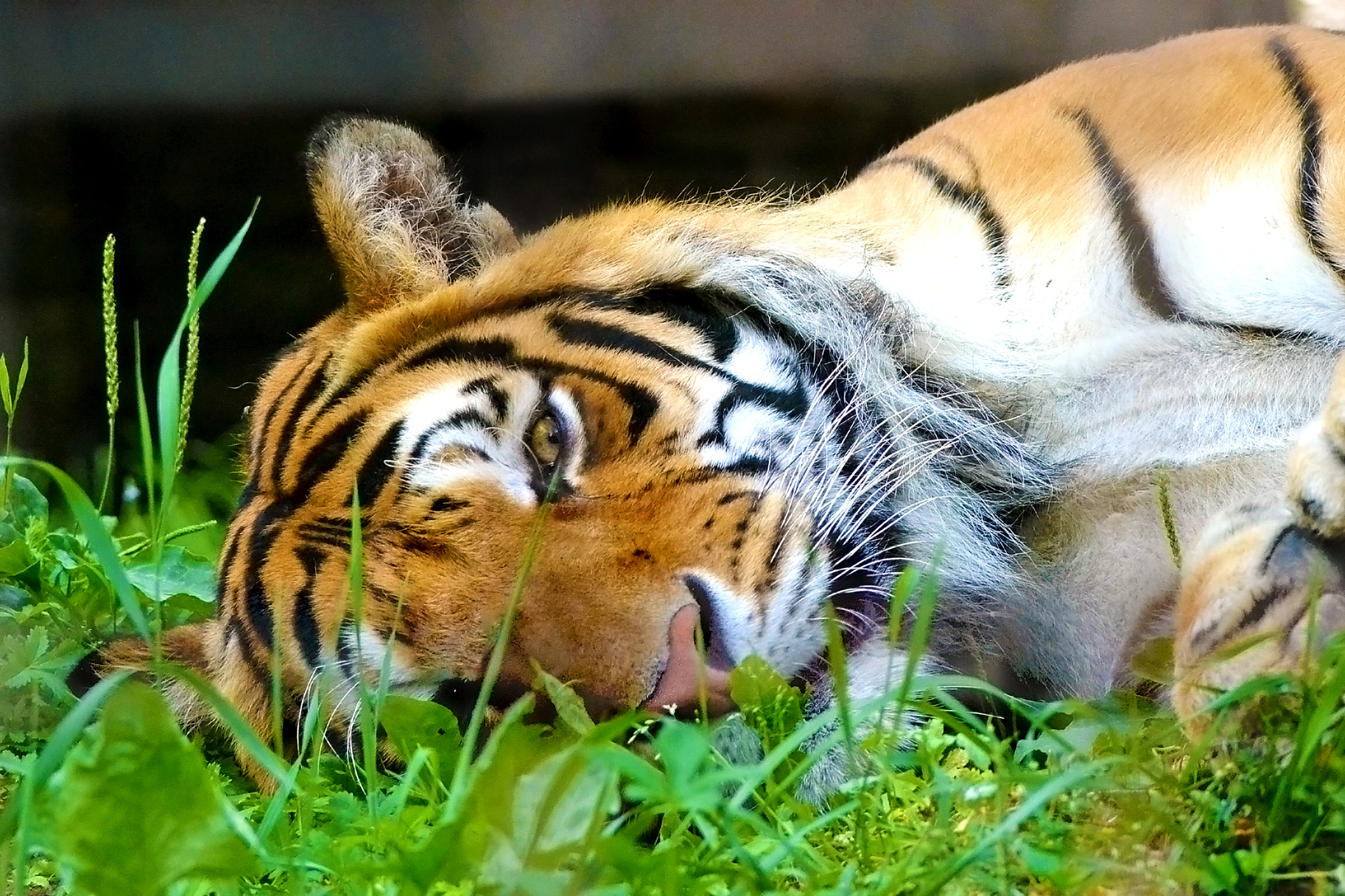 v2?sig=ab9c71c95bbd6f8079faa0d52f96b2df2a4283e1938aa4947553f89aad1dbcfc