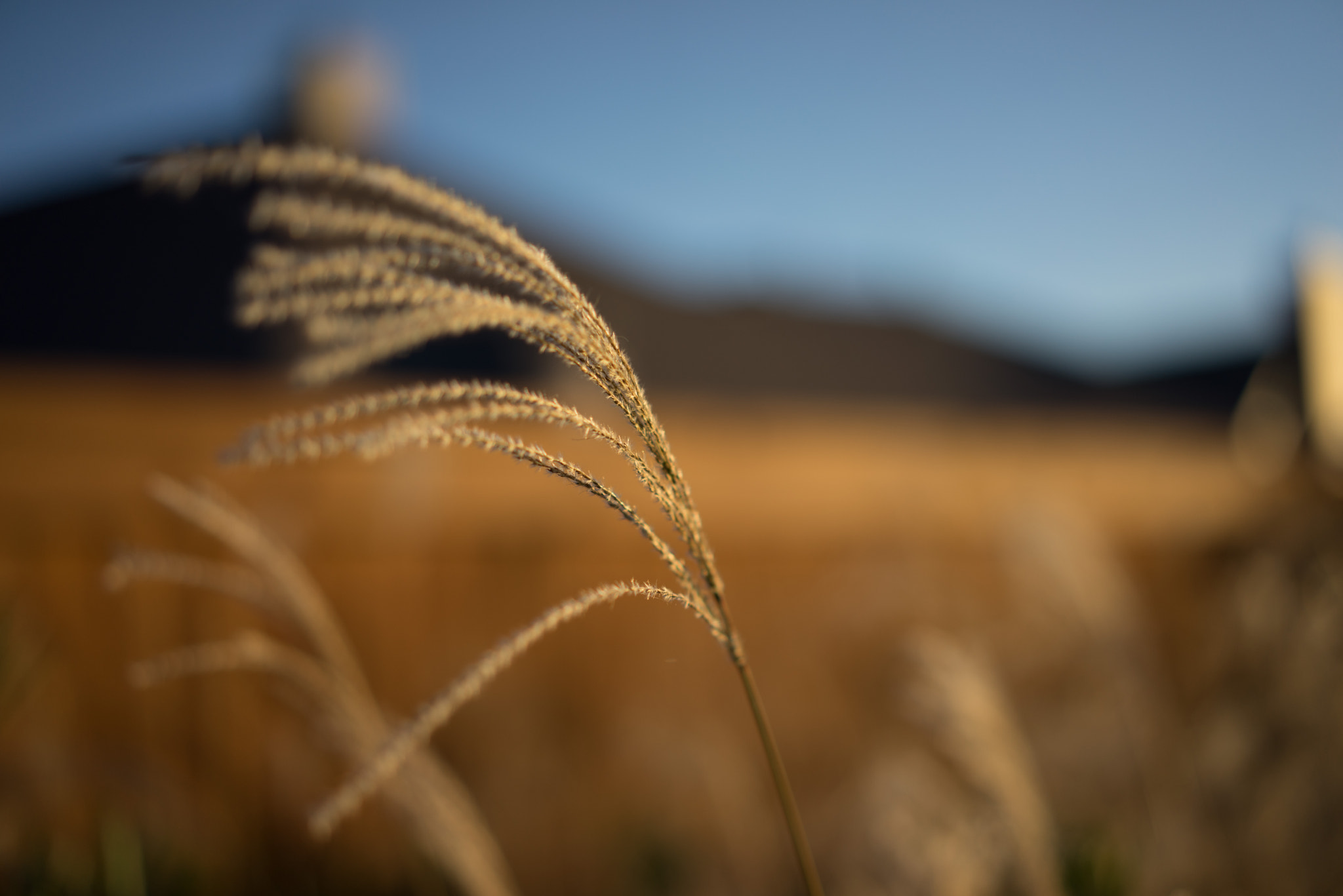 55 1.8 test with a7r