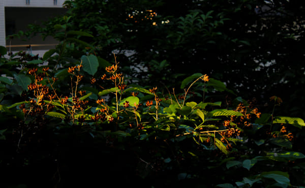 嗯(vcg-cdcc0436441f882f2c9960b078da51136) Profile / 500px