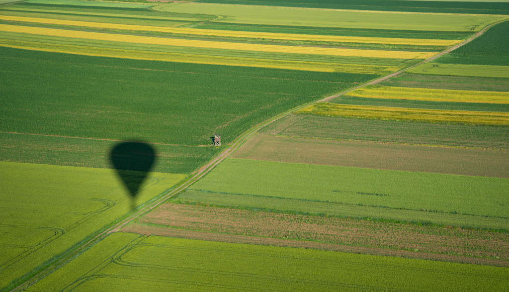 High angle view of agricultural field by Luca Paramidani on 500px.com