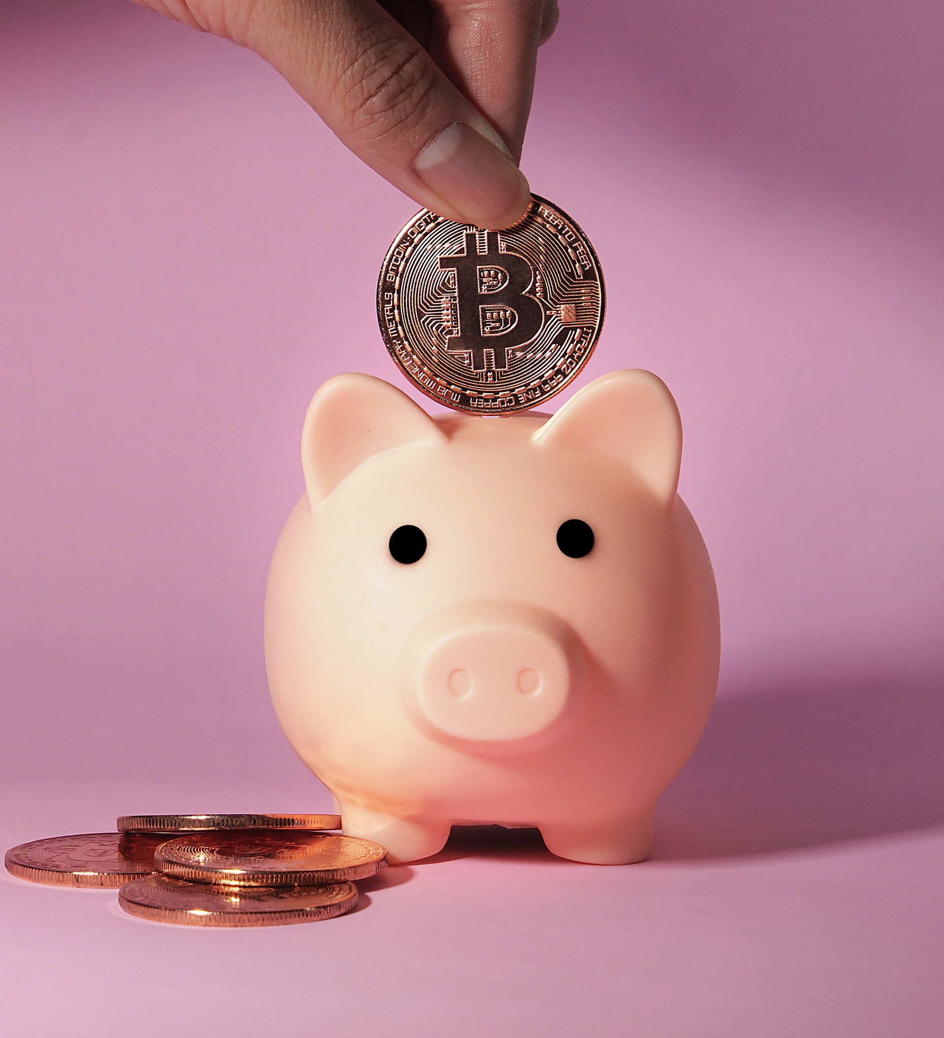 Hand of man drops metal bitcoin coin into piggy bank. Business and Finance.