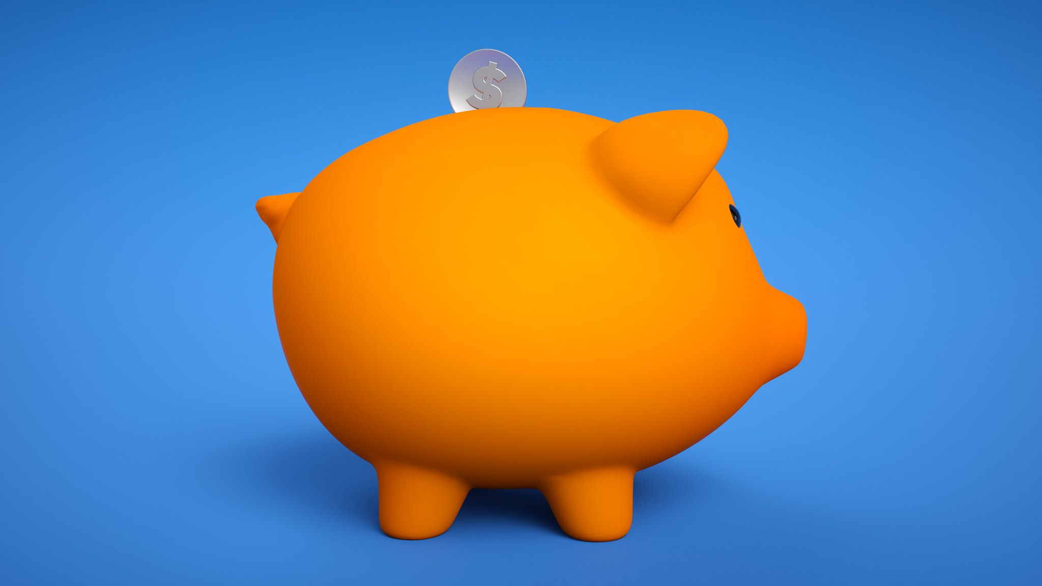 3d render of gold coin falling into a piggy bank. Piggy bank with coins money cash isolated on white