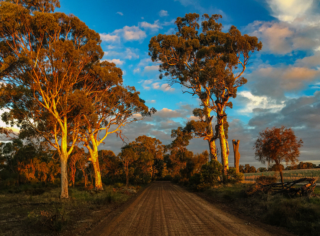 The Road Home by Paul Amyes on 500px.com