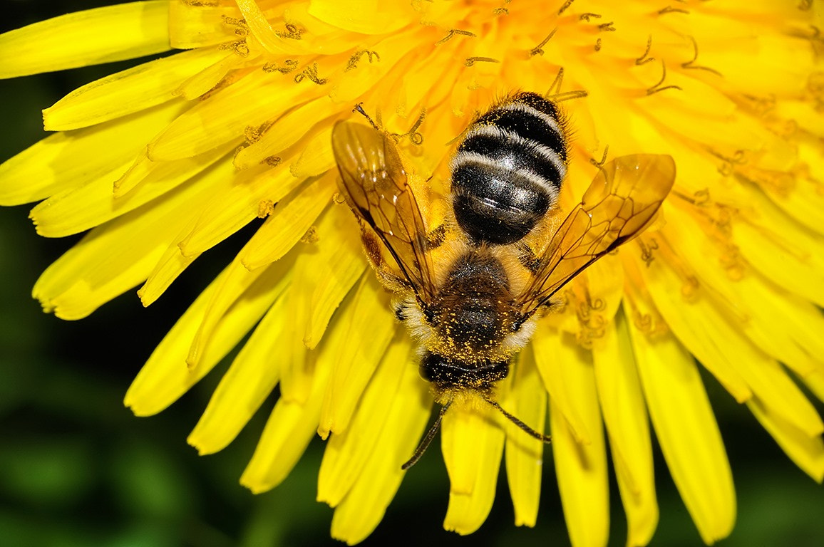 v2?sig=994817b5853250756131c35dfef1d98927def9c192465b23288895299dddd256