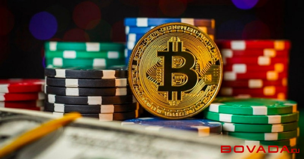 Bitcoin Casino | The Best Crypto & Bitcoin Casinos with Bonuses 2023