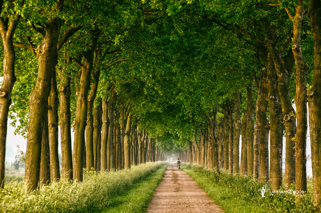 towards summer by Lars van de Goor on 500px.com