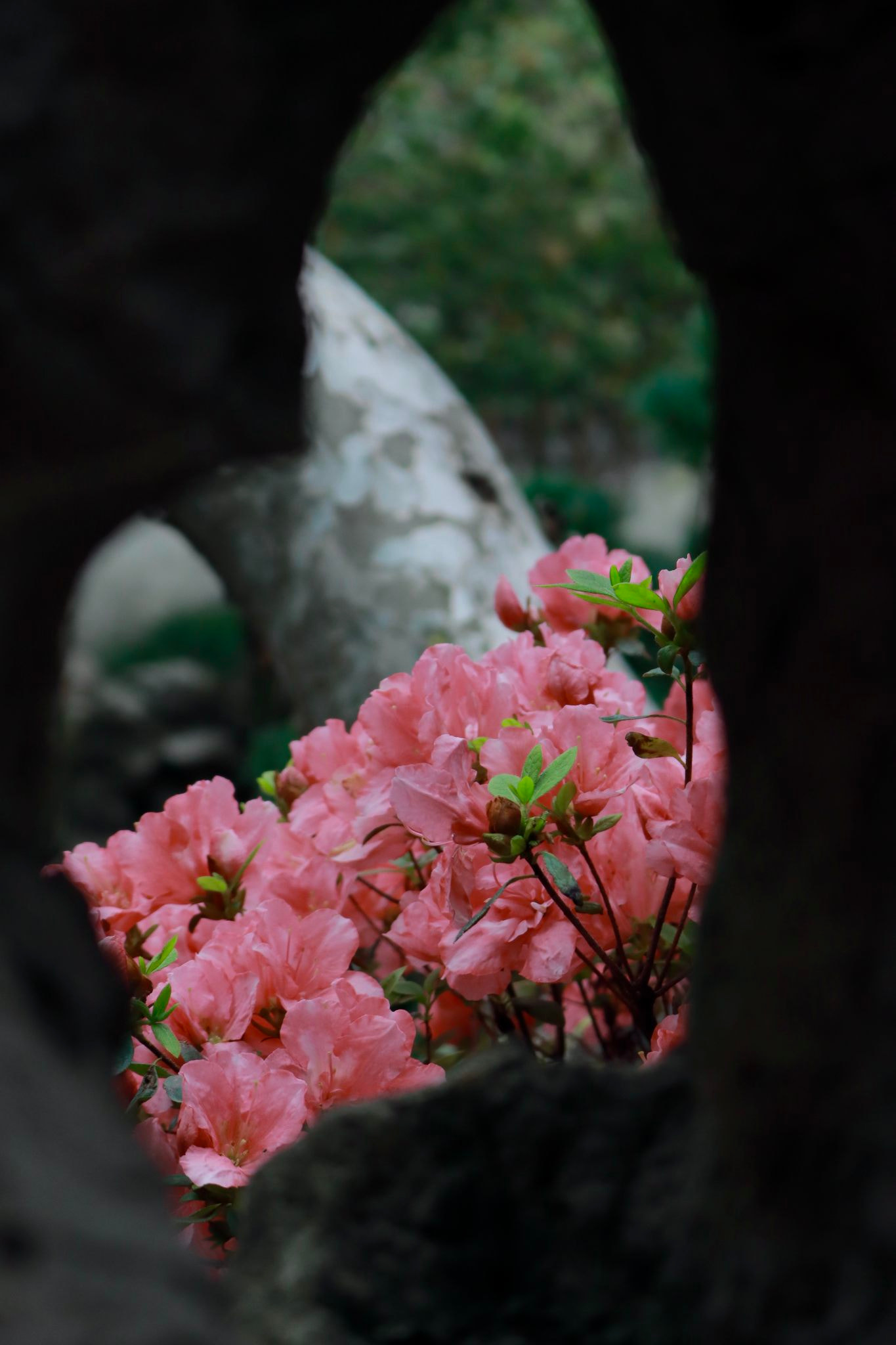 v2?sig=17d3df0091a4a500cc0b0c9943825e11632f46a930d589ef98d6cb9f86fb718d