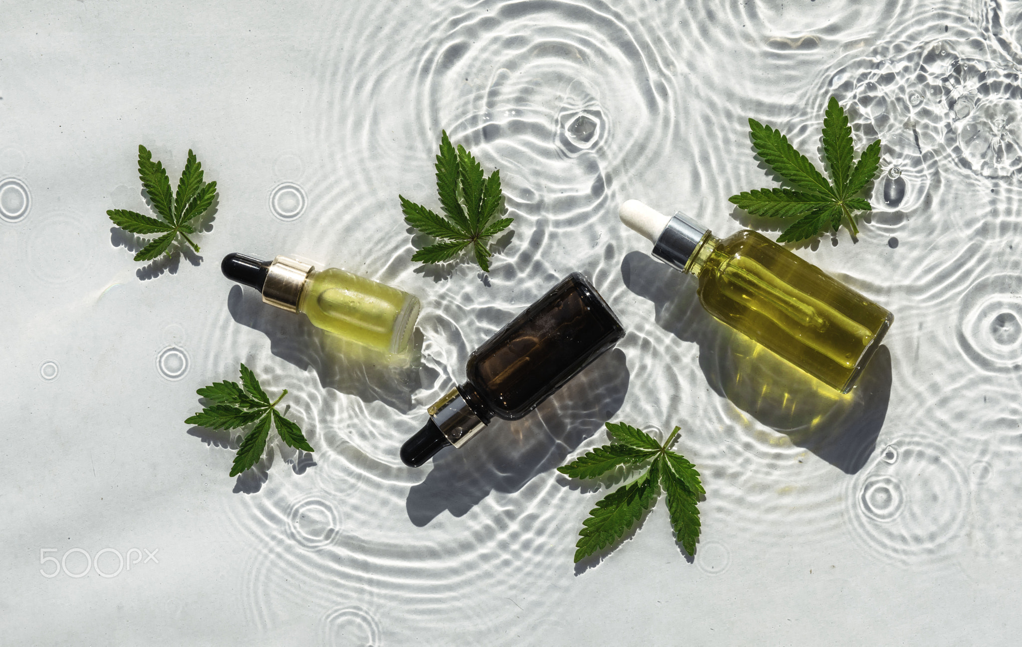 Cbd Oil Bottles, white water background with drops, waves and leaves of hemp, marijuana