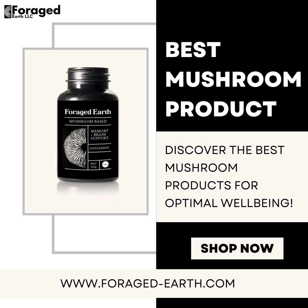 Best Mushroom Based Products | Foraged Earth