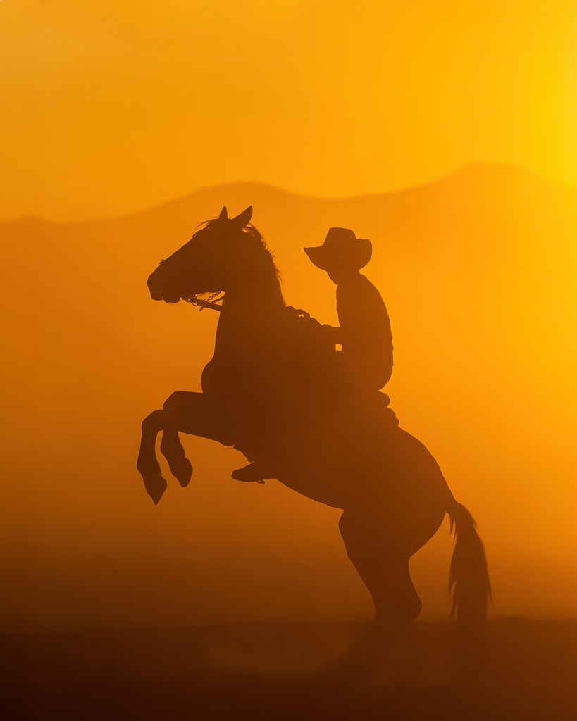 Horse by serdar s on 500px.com