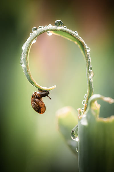 The Adventurer by Nicolas Doyen on 500px.com