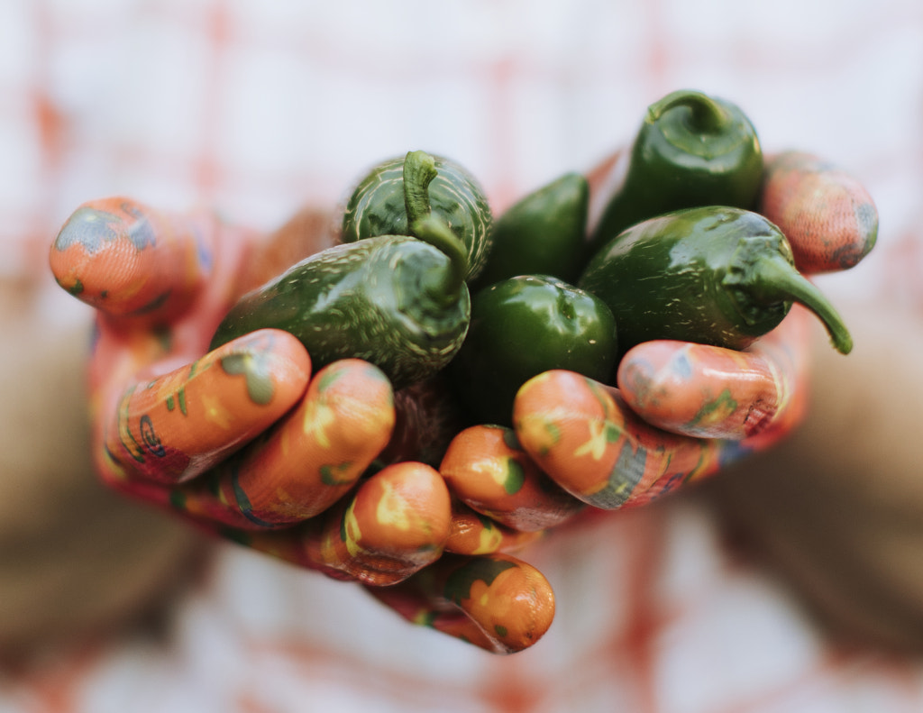 Senior woman holding organic jalapeno peppers from her own garden by Cami Suciu on 500px.com