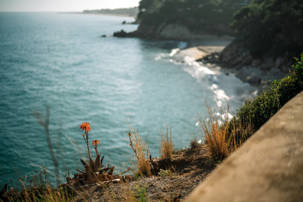 Scenic view of sea against sky by Olha Dobosh on 500px.com