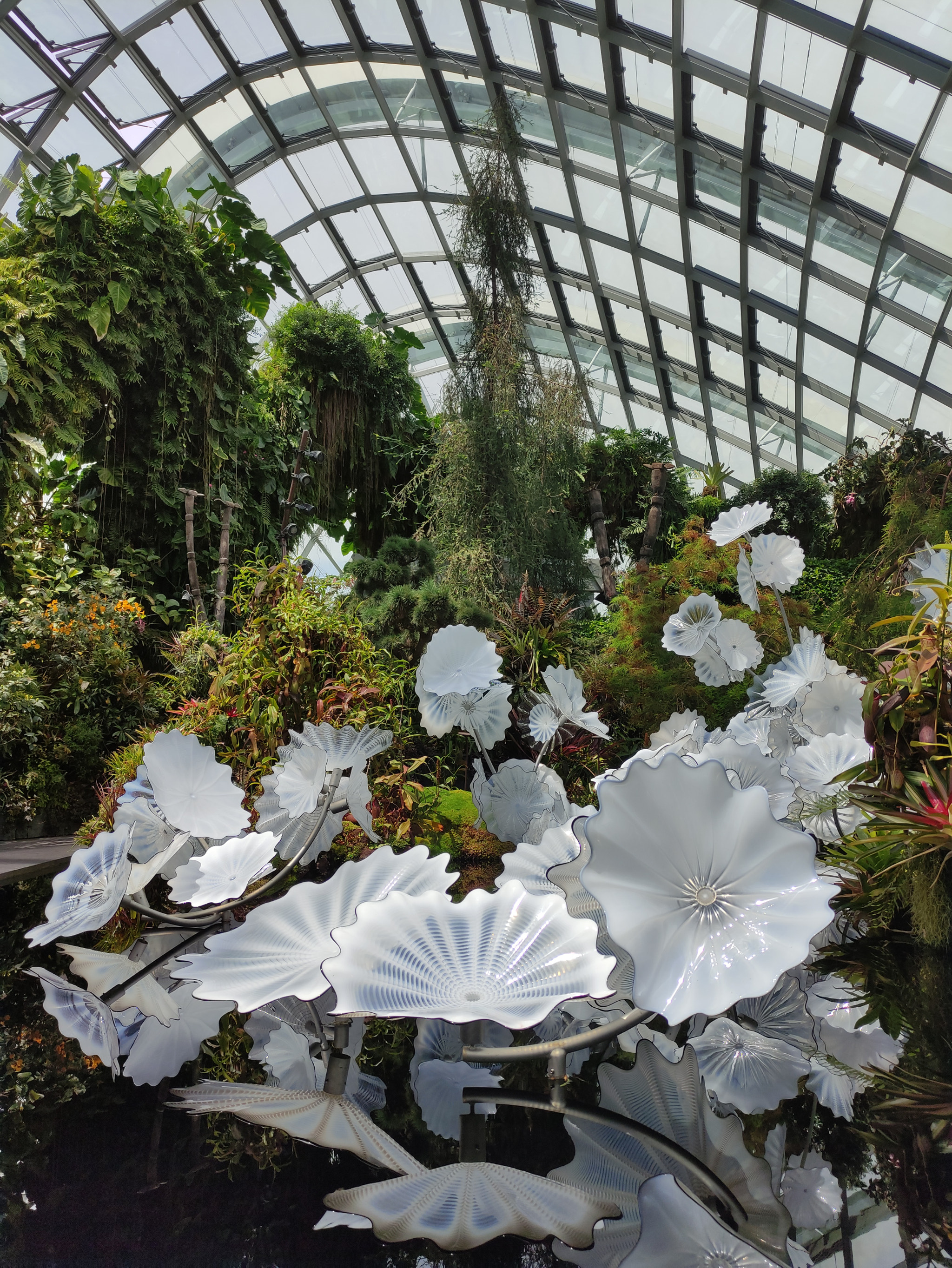 Decoration in Greenhouse