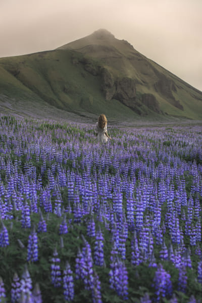 lupin by xavier Hemery on 500px.com