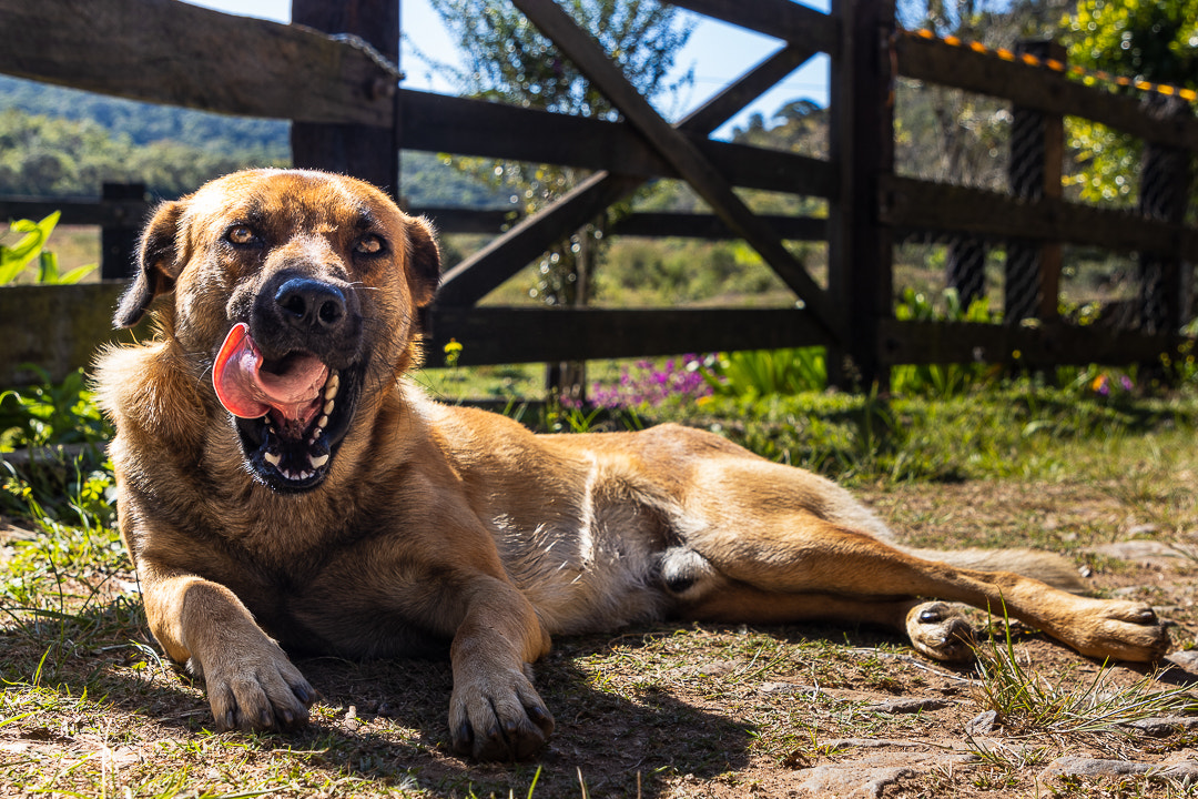 A day in San Bartolomé