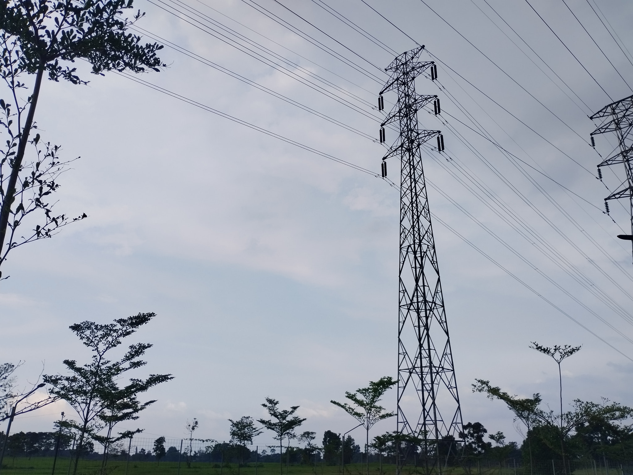 Skyward Reaching: Electric Poles Scraping the Sky