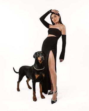 Good doggy