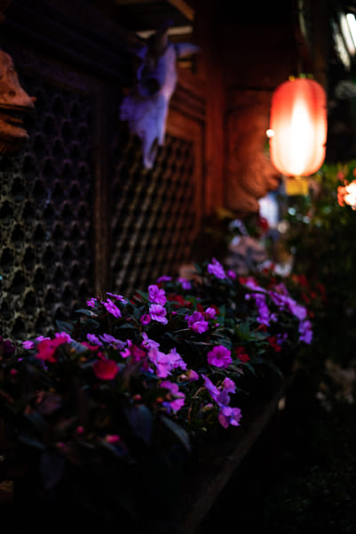 xy's Photos & Galleries | 500px