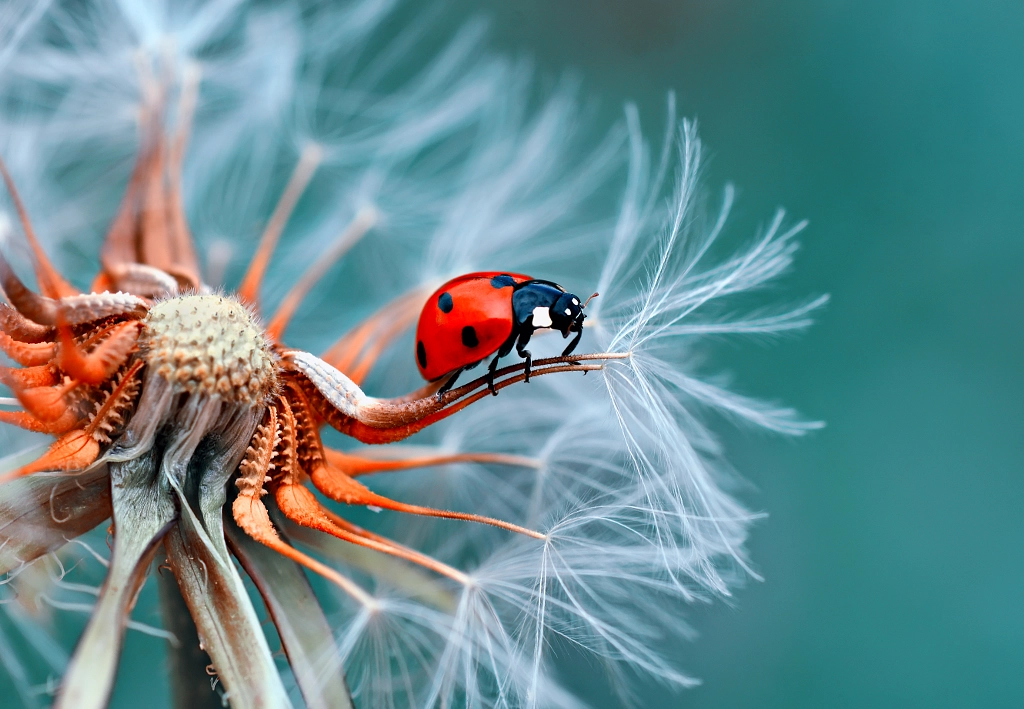 Good bye !!!, автор — Mustafa Öztürk на 500px.com