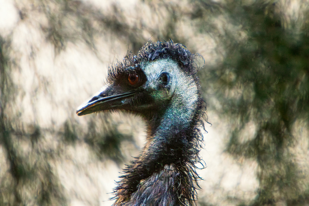 Wetj by Paul Amyes on 500px.com