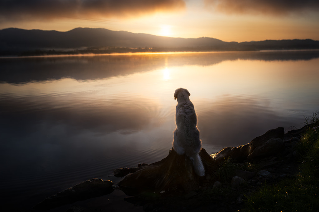 Golden sunrise by Iza ?yso? on 500px.com