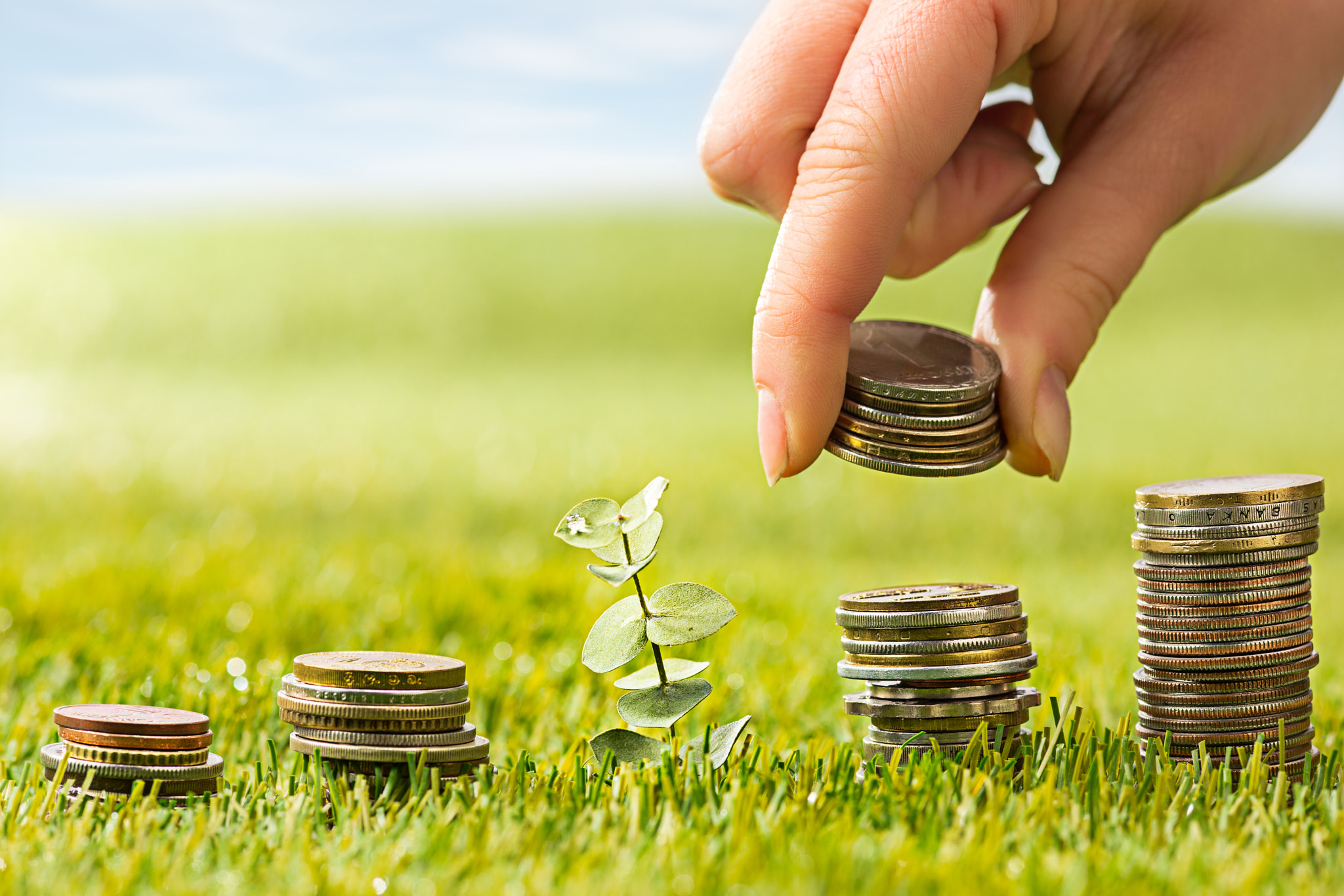 The columns of coins on grass